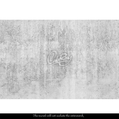 Fotobehang Elegante muur