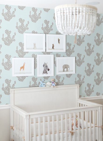 Fotobehang Cactussen in Antarctica