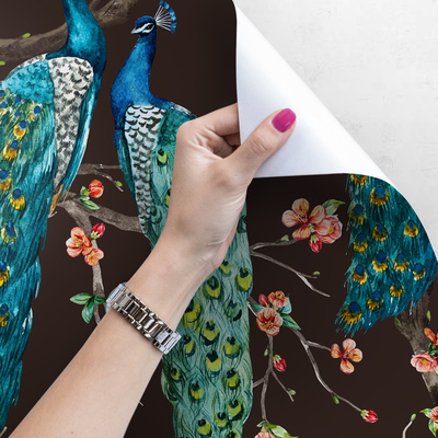 Fotobehang Pauwkoninkrijk