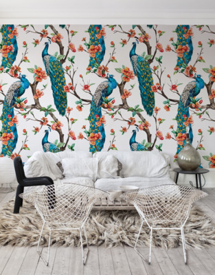 Fotobehang Kleurrijke pauwen