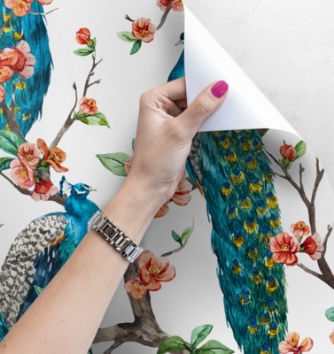 Fotobehang Kleurrijke pauwen