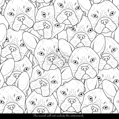 Fotobehang Hondenwereld