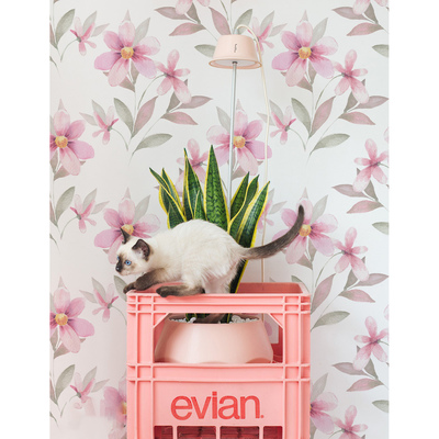 Fotobehang Zintuig en gevoeligheid