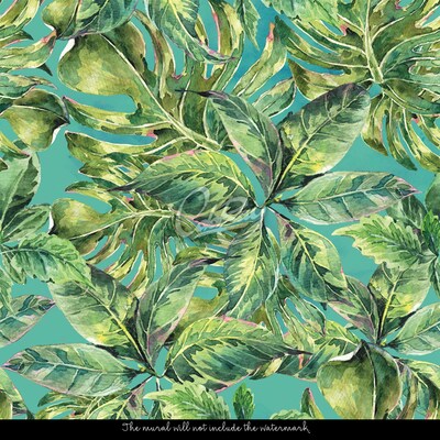 Fotobehang In het Amazonewoud