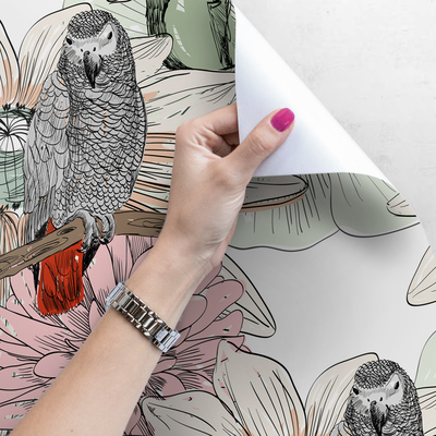 Fotobehang Muzikale papegaaien