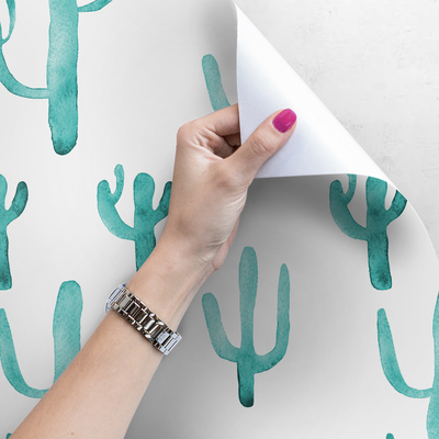 Fotobehang Ingetogen Cactussen