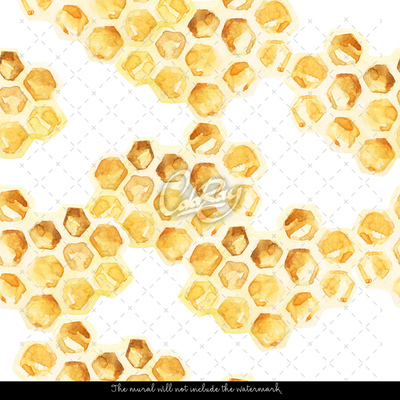 Fotobehang Zoete honingraten