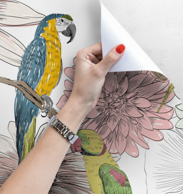 Fotobehang tortelduifjes