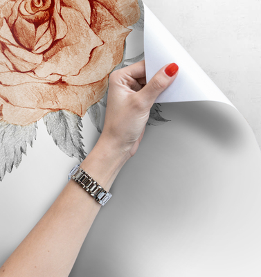 Fotobehang Bloeiende roos