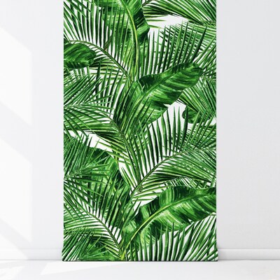 Fotobehang In de grote struik van de tropen