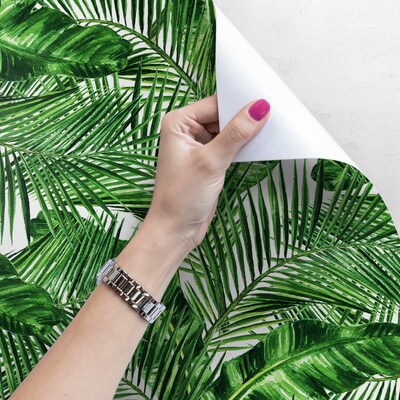 Fotobehang In de grote struik van de tropen