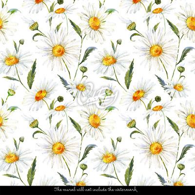 Fotobehang Kamilleweide