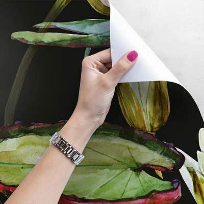 Fotobehang Prachtige lotusbloemen