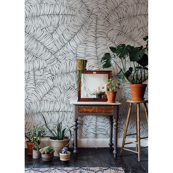 Fotobehang Junglewandeling