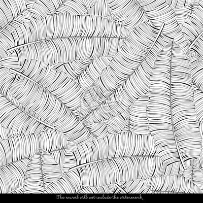 Fotobehang Junglewandeling