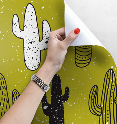 Fotobehang Mexicaanse Cactus