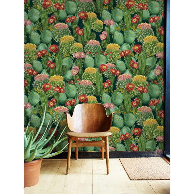 Fotobehang Prachtige Cactussen