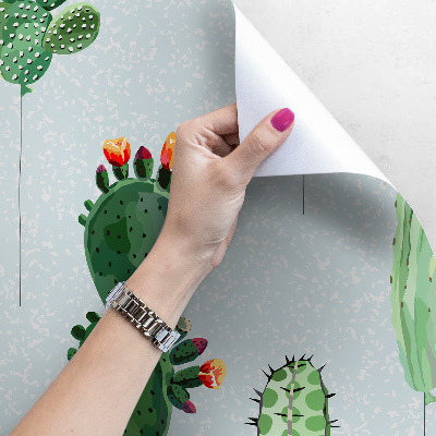 Fotobehang Mooie Cactussen