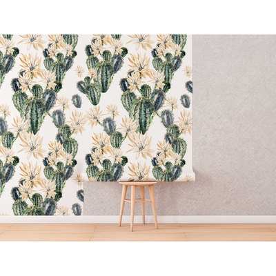 Fotobehang Er zijn nooit genoeg cactussen