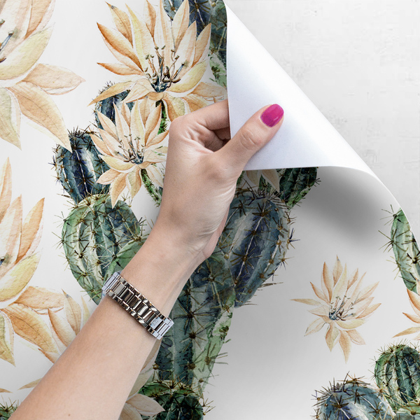 Fotobehang Er zijn nooit genoeg cactussen