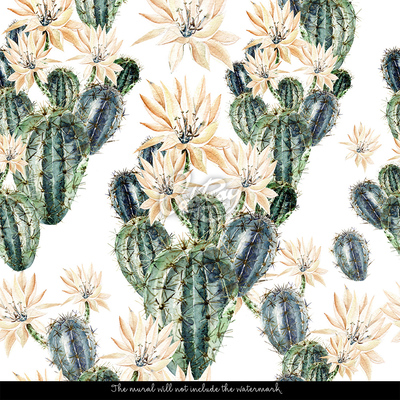 Fotobehang Er zijn nooit genoeg cactussen