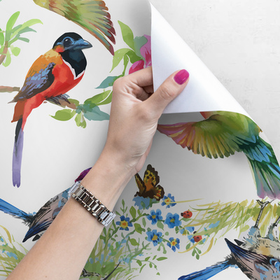 Fotobehang Regenboogtropen vol vogels