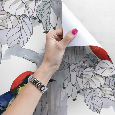 Fotobehang Regenboogwereld van vogels