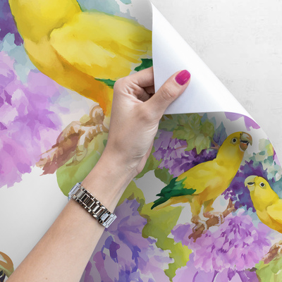 Fotobehang Zonnige papegaaien