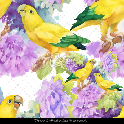 Fotobehang Zonnige papegaaien