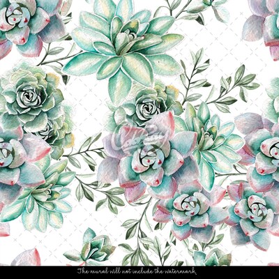 Fotobehang Fantastische vetplanten