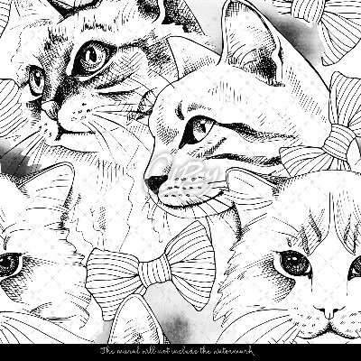 Fotobehang Elegante katten