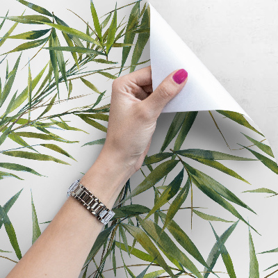 Fotobehang Delicate exotische bladeren