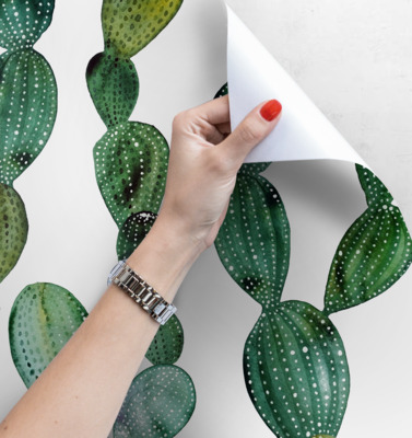 Fotobehang Cactus Netwerk