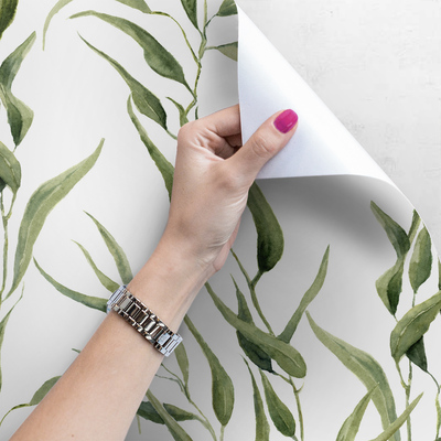 Fotobehang Subtiele eucalyptusbladeren