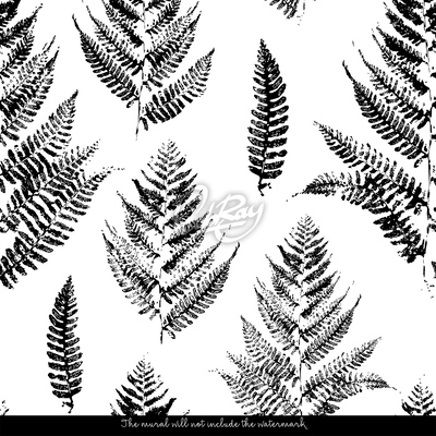 Fotobehang Zwarte varenbladeren