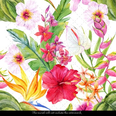 Fotobehang Afrikaans boeket