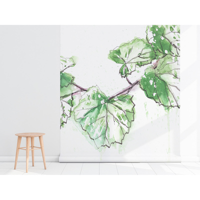 Fotobehang Scheuten van de wijnstok