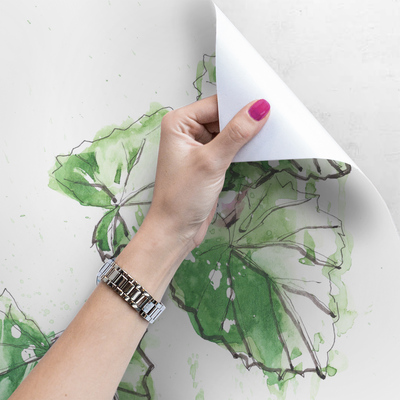 Fotobehang Scheuten van de wijnstok