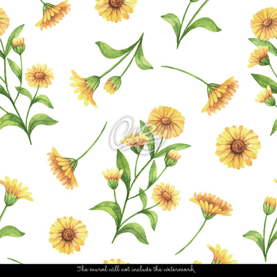 Fotobehang Zonnige bloemrijke ochtend