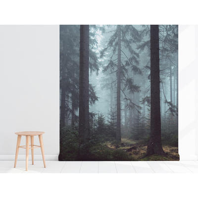 Fotobehang Als de mist komt