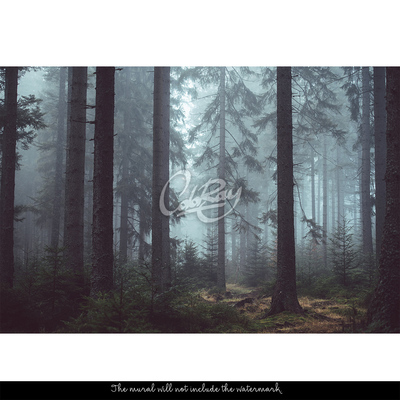 Fotobehang Als de mist komt