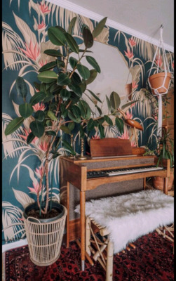 Fotobehang Paradijs Sumatra