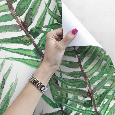 Fotobehang Gekantelde palmbladeren