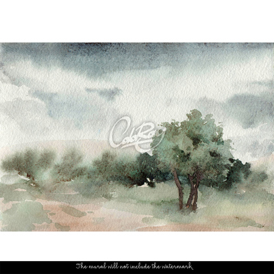 Fotobehang Prachtig boslandschap