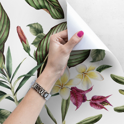 Fotobehang De schoonheid van exotische bloemen