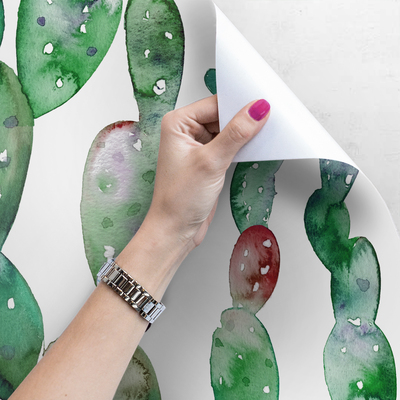 Fotobehang Kleurrijke cactussen van de tropen