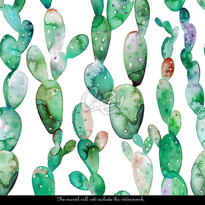 Fotobehang Kleurrijke cactussen van de tropen