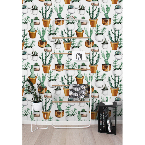 Fotobehang Cactussen in potten