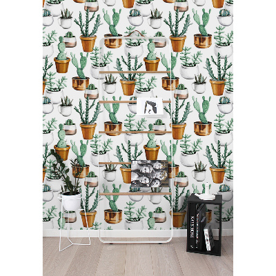 Fotobehang Cactussen in potten