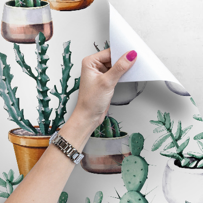 Fotobehang Cactussen in potten